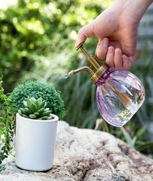 1Pc Plastic Watering Bottle for Home 350ml watering Pot Water Bottle Succulent plants Flower Watering Tools 3 kind color1870264