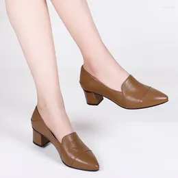 Dress Shoes 2024 Retro Slip-on Women's Pointed-Toe Chunky Heel Pumps Spring And Autumn Fashion Low-Cut Lazy