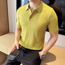 Men's Polos Pineapple Knit Polo Shirt For Men Summer Short Sleeve Slim Fit T-shirts Solid Color Casual Business Lapel T M-4XL