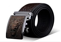 Luxury Mens Belt Whole Alligator Embossed Plaque Buckle Cowskin Genuine Leather Ratchet Belt 3D Crocodile Pattern Jeans Belts 2833348