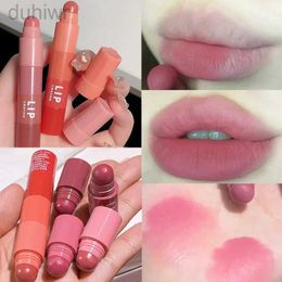 Lip Pencils Matte nude crayon lipstick 4pcs/set waterproof durable velvet red rose purple lipstick Colouring easy to wear sexy lipstick cosmetics d240510
