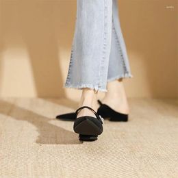 Casual Shoes Fairy Fengshui Crystal Flower Buckle Pointed Flat Soled Single 2024 One-foot Low-heeled