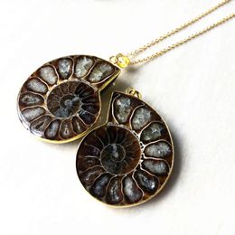 Pendant Necklaces Gold Plated Natural Real Fossilised Ammonite Necklace 35-40mm