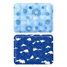 Summer Cooling Pad Ice Mat Dog cat Cool Mat Pet Mat Cooling Supplies Ice Pad 240510