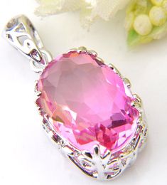 Luckyshine 925 Silver Necklace For Women Oval Bi Coloured Tourmaline Gems Pendants Claw inlay Stone Lady Gift Necklace Pendants 10 1320526
