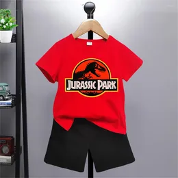 Clothing Sets 3-12 Years Old Summer Boys And Girls Printed T-shirt Cartoon Shorts European American Style Fashion Children's Suit