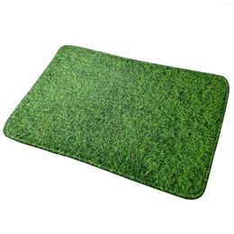 Carpets Grass Entrance Door Mat Bath Rug Mowed Real 3d Realistic Phone Cut Texture Lawn Turf