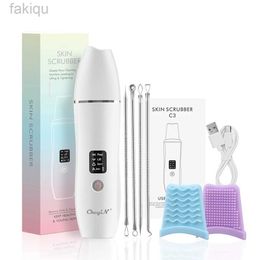 Cleaning Ckeyin EMS Ultrasonic Skin Scrubber Facial Cleaning Tool Deep Cleaning Vibration Blackhead Removal LCD Display Cleaning d240510