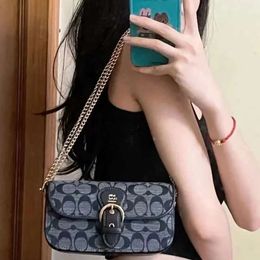 23 New C Family Kleo Summer Chain Underarm Fragrant Bree Handheld Skew Straddle Small Bag Zero Wallet 80% factory wholesale