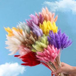 Decorative Flowers 60pcs Real Natural Floral Dried Tail Grass Mixed Bouquet Colorful Lagurus Ovatus For Po Props Decoration