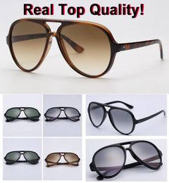 4125 aviation brand sunglasses retro classical sun glasses 5000 model acetate frame g15 lenses original packages cat design6941527