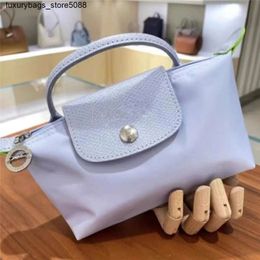 Luxury Handbag Designer Shoulder Bag Crossbody Bag Bun Dumpling Bun Bag Small Bag Crossbody Bag Bag Small Bag Makeup BagVH7E