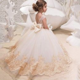 Sister Elegant Flower Girl Dress for Wedding Kids Sleevelesss Lace Pageant Ball Gowns