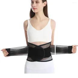 Waist Support Spine Band High Quality Steel Plate Spandex Protective Gear Breathability Trainer Belt