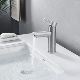 Bathroom Sink Faucets Stainless Steel Silver Cold Water Faucet Counter Basin Single Handle Kitchen Washbasin Tap Hardware