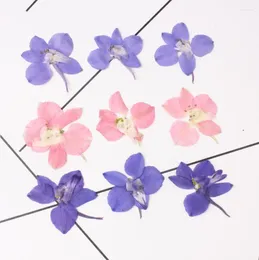 Decorative Flowers 60pcs Pressed Dried Consolida Ajacis Petal Flower Plant Herbarium For Nail Art Make Up Jewellery Bookmark Phone Case Card