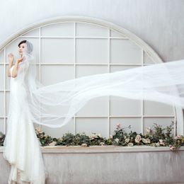 2017 New Wedding Veil 5 M Long 1 5 M Wide Cut Edged Bridal Veils One Layer White Red Ivory Velos De Novia Wedding Accessories Voile Lon 255Y