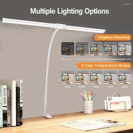 Table Lamps Double Head LED Desk Lamp Stepless Dimmable For Computer Monitor Light Office Bedroom Reading Lights Eye Protection