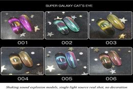 9D Cat Eye Gel Nail Polish Set Galactic Effect Magic Gel Nail Polish Kit 6 Colours UV LED Auroras Gel Polish2097345