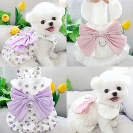 Dog Apparel Pet Princess Dress Spring Summer Puppy Cute Bowknot Skirt Small Fashion Harness Cat Sweet Vest Chihuahua Poodle Maltese