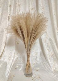 Pampas Grass DecorFluffy Reed Wedding Flower BunchDried Pampas Home e Office Fall 2103177580683