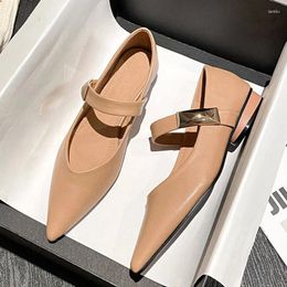 Casual Shoes Pointed Toe Soft Leather Mary Janes Woman Ankle Strap Chunky Heel Loafers Ballet Flats Metal Buckle OL Plus Size 43