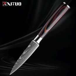 3.5" Paring Knife,Razor sharp Fruit Knife Damascus lasers Pattern,Small Kitchen Knife,Full Tang Peeling Knife for Slicing