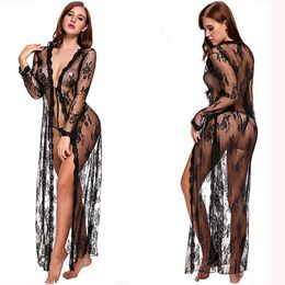 Fun Lingerie, Sexy Mesh, Perspective Long Sleeved Lace Nightgown