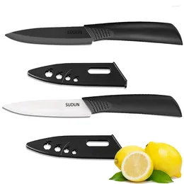 Dinnerware Sets 2 PCS Fruit Knife Black And White Ceramic 4 Inch Professional Paring Kitchen Peeling Vegetable