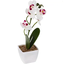 Decorative Flowers Home Realistic Plant Decorations Simulated Phalaenopsis Faux Orchid Potted Lifelike