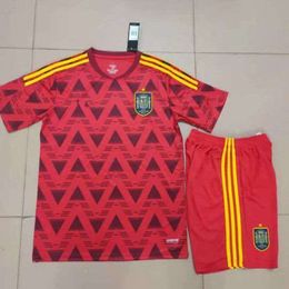 Soccer Jerseys Spain Jersey 22 / 23 World Cup Set Home Training Shirt No. 9 Torres Football Shirt Match