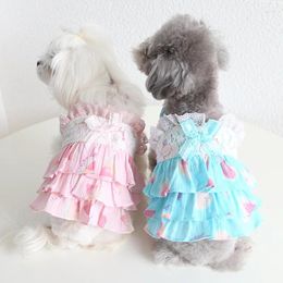 Dog Apparel Pink Blue Colours Roupas Para Cachorro Dresses For Spring/Summer Sweet Watermelon Lace Dress Pet Clothes