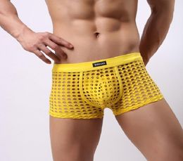 underwear men Fashion boxers shorts Man cute mesh boxer Boy039s sexy panties gay male short mens under wear fishnet1006147