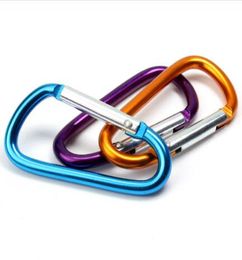 Large Carabiner Keyrings Key Chain Outdoor Sports Camp Snap Clip Hook Keychains Hiking Aluminium Metal Stainless Steel Hiking Campi8549237