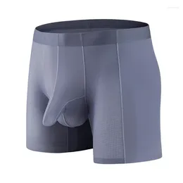 Underpants Youth Ice Silk Underwear Men's Sexy Boxer Shorts Boy U-shaped Bag Elephant Trunk Pants Summer Breathable Extended Sports Panties