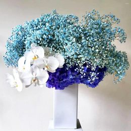 Decorative Flowers Blue Dried Baby's Breath Bouquet Projects And Christmas Decoration Over 2000 Perfect For Home Decor Weddings DIY Floral