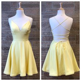 Light Yellow Homecoming Dresses 2019 A Line Spaghetti Neck Short Prom Party Dance Gowns Real Photo Lace Up Back Royal Blue Hoco Graduat 225S