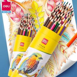 Pencils Deli Color Pencil Barrel Oil Color Pencil Set Lead Drawing Paper Box Color Professional Students Draw Sketching Pencil d240510