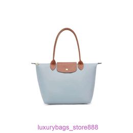 Designer Bag Stores Are 95% Off Falong Xiang 70th Anniversary Classic Nylon One Shoulder Handheld Tote Underarm Mommy Folding Shopping24LA