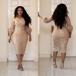 2022 Plus Size Champagne Mother of the Bride Groom Dresses Lace Applique 3 4 Sleeves Tea Length Wedding Guest Gowns Formal Gowns 255F