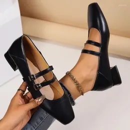 Casual Shoes 2024 Spring Women Mary Jane Ladies Fashion Shallow Square Toe Thick High Heel Women's Elegant