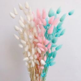 Decorative Flowers Fluffy Tail Grass Natural Dried Boho Home Decorate Colorful Lagurus Ovatus For Wedding Po Props Decoration