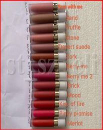 Lip Makeup Elegant Red Classic Lip Gloss Matte Liquid Lipstick Multi Colours Lip Stick Make Up8684926