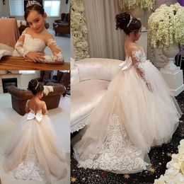 2023 Cute Blush Pink Flower Girls Dresses Long Sleeves For Weddings Lace Appliques Ball Gown Birthday Girl Communion Pageant Gowns Cham 241d