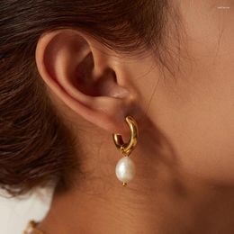 Hoop Earrings Selling French Style Freshwater Pearl Gold Plated Stainless Steel Jewellery Elegant Drop For Female Girl