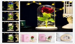Rose Lasts Forever With Led Lights In Glass Dome Valentine039s Day Wedding Anniversary Birthday Gifts Party Decoration 5 Colors6127549
