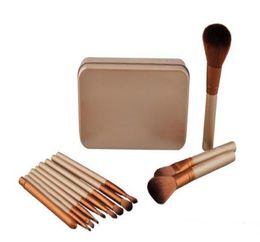 Makeup Brushes 12 pieces Professional Makeup Brush set Kit With Iron Box6367643