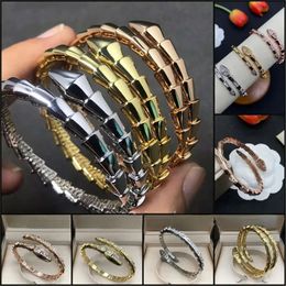 Bangle Fashion Womens Bracelets with Gift Box 2/3 Laps No/half/tail/full Diamonds for Women Bracelet