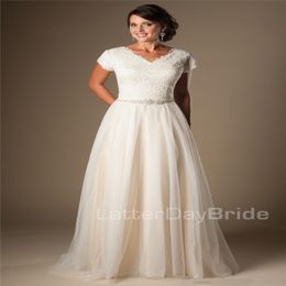Modest Champagne Short Sleeves Wedding Dresses Cap Sleeves V Neck Buttons Lace Tulle Bridal Gowns A-line Inexpensive Wedding Gowns 240K