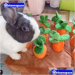 Small Animal Supplies Toys Rabbit Plucking Radish P Toy Bunny Sniffing Pad Pet Antiboring Artefact Interactive Products Sports Acces Dhrgh
